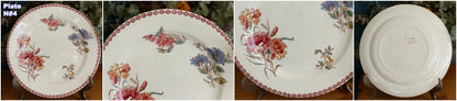 1890s Ste Fleuri Jules Vieillard (J.V.) & Cie French Antique Ironstone Polychrome Dinner Plate "Assiette" Terre de Fer en Faience