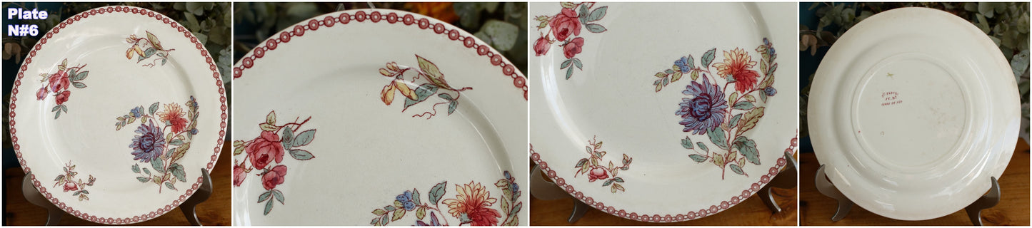 1890s Ste Fleuri Jules Vieillard (J.V.) & Cie French Antique Ironstone Polychrome Dinner Plate "Assiette" Terre de Fer en Faience