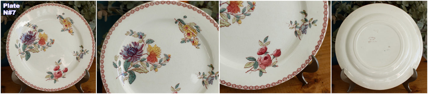 1890s Ste Fleuri Jules Vieillard (J.V.) & Cie French Antique Ironstone Polychrome Dinner Plate "Assiette" Terre de Fer en Faience