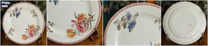1890s Ste Fleuri Jules Vieillard (J.V.) & Cie French Antique Ironstone Polychrome Dinner Plate "Assiette" Terre de Fer en Faience