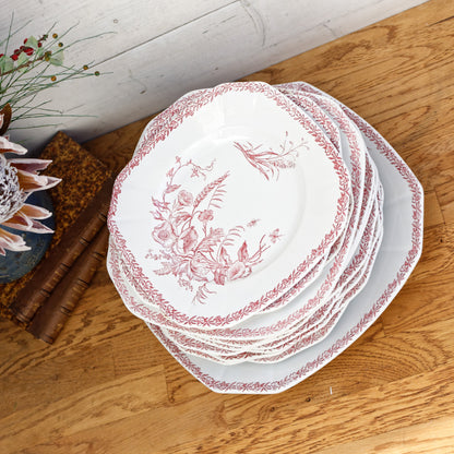 Fleurs de Champs MotifFaiencerie FF (Fenal Frères) PEXONNE French Antique Ironstone Red Transferware Sqaure Plate Terre de Fer