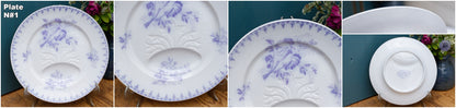 Années 1880/1900 ~ « Flore » Sarreguemines U&amp;C ~ Français Antique Ironstone Lavande Transferware Asparagus Plate ~ Terre de Fer