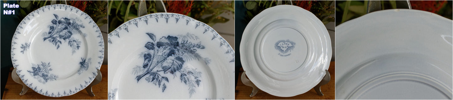 1880s/1900s ~ "FLORE" Sarreguemines U&C ~ French Antique Blue Transferware Salad Plate ~ Scalloped Edge Terre de Fer
