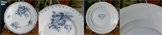 1880s/1900s ~ "FLORE" Sarreguemines U&C ~ French Antique Blue Transferware Salad Plate ~ Scalloped Edge Terre de Fer