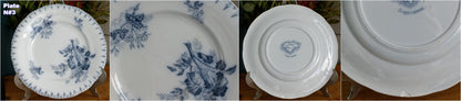 1880s/1900s ~ "FLORE" Sarreguemines U&C ~ French Antique Blue Transferware Salad Plate ~ Scalloped Edge Terre de Fer