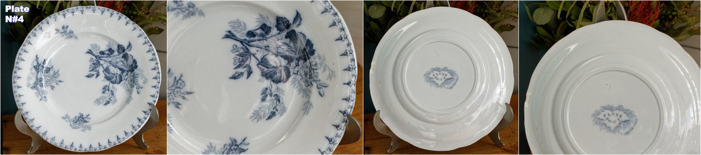 1880s/1900s ~ "FLORE" Sarreguemines U&C ~ French Antique Blue Transferware Salad Plate ~ Scalloped Edge Terre de Fer