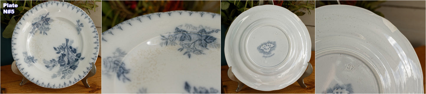 1880s/1900s ~ "FLORE" Sarreguemines U&C ~ French Antique Blue Transferware Salad Plate ~ Scalloped Edge Terre de Fer