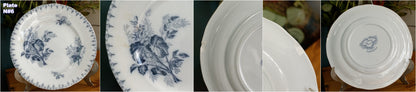 1880s/1900s ~ "FLORE" Sarreguemines U&C ~ French Antique Blue Transferware Salad Plate ~ Scalloped Edge Terre de Fer