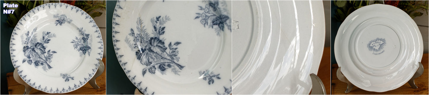 1880s/1900s ~ "FLORE" Sarreguemines U&C ~ French Antique Blue Transferware Salad Plate ~ Scalloped Edge Terre de Fer