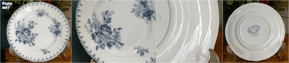1880s/1900s ~ "FLORE" Sarreguemines U&C ~ French Antique Blue Transferware Salad Plate ~ Scalloped Edge Terre de Fer