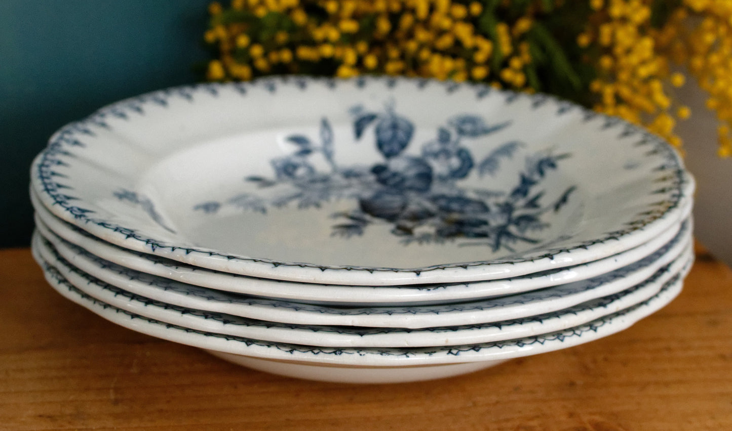 Flore Motif Sarreguemines UC French Antique Ironstone Soup Plate Terre de Fer