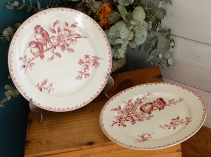 FAVORI Motif Sarreguemines U&C French Antique Ironstone Red Transferware Dinner Plate Assiette Terre de Fer Faience