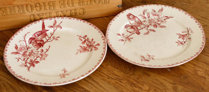 FAVORI Motif Sarreguemines U&C French Antique Ironstone Red Transferware Dinner Plate Assiette Terre de Fer Faience