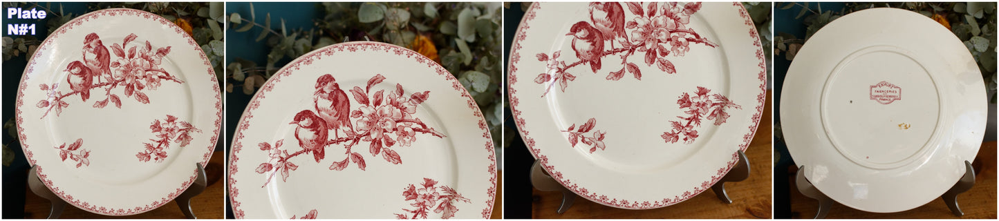 FAVORI Motif Sarreguemines U&C French Antique Ironstone Red Transferware Dinner Plate Assiette Terre de Fer Faience