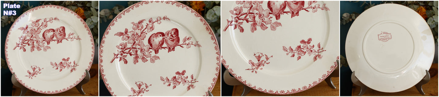 FAVORI Motif Sarreguemines U&C French Antique Ironstone Red Transferware Dinner Plate Assiette Terre de Fer Faience