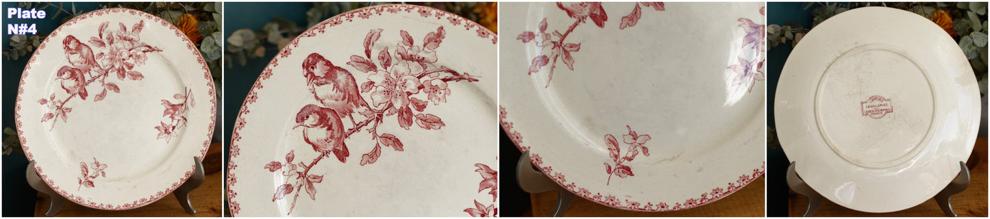 FAVORI Motif Sarreguemines U&C French Antique Ironstone Red Transferware Dinner Plate Assiette Terre de Fer Faience