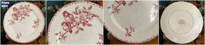 FAVORI Motif Sarreguemines U&C French Antique Ironstone Red Transferware Dinner Plate Assiette Terre de Fer Faience