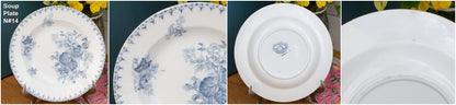 Années 1880/1900 ~ « FLORE » Sarreguemines U&amp;C ~ Français Antique Ironstone Blue Transferware Soup Plate ~ Terre de Fer