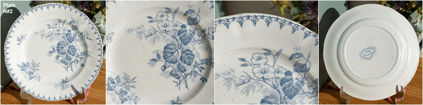 FLORE Sarreguemines U&C French Antique Ironstone Blue Transferware Dinner Plate Scalloped Edge Terre de Fer