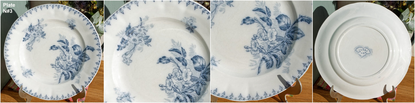 FLORE Sarreguemines U&C French Antique Ironstone Blue Transferware Dinner Plate Scalloped Edge Terre de Fer