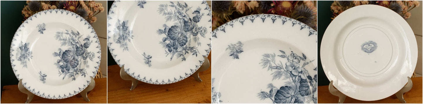 1880s/1900s ~ "FLORE" Sarreguemines U&C ~ French Antique Ironstone Blue Transferware Soup Plate ~ Terre de Fer LOT 2
