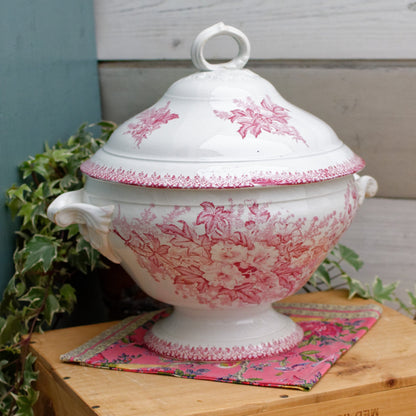 French Ironstone Terre de Fer Red Transferware Soup Tureen Soupiere ONNAING Eglantines