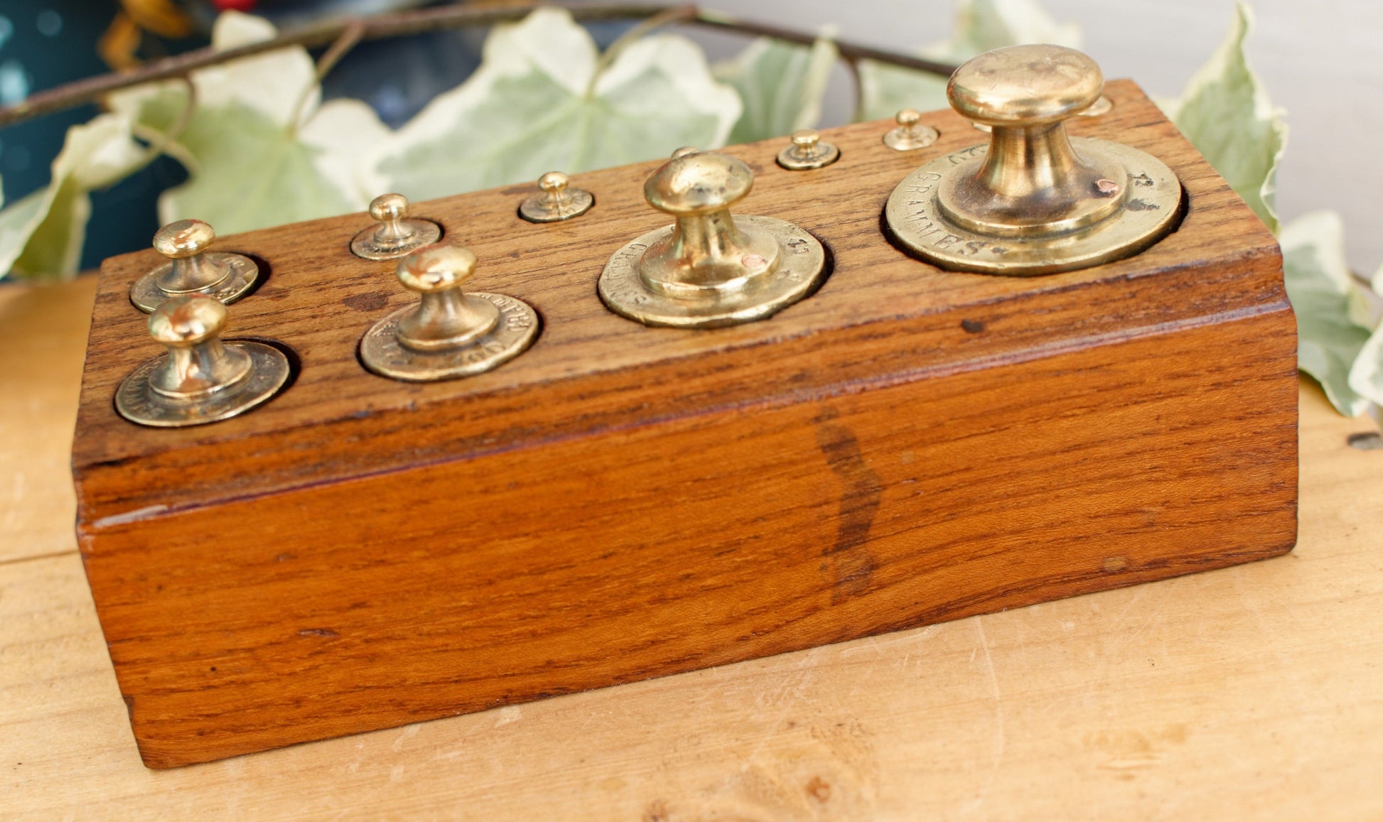 French Antique Collectible Full Set of 12 Brass Weights Hallmarked "Boite de Poids Laiton" Kitchen Decor