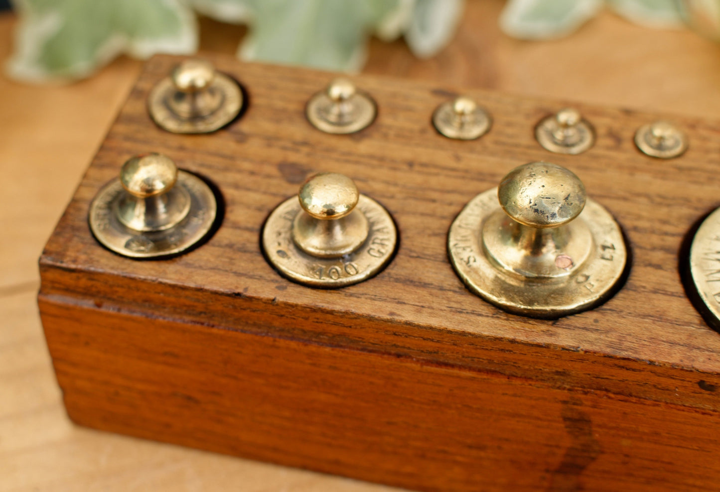 French Antique Collectible Full Set of 12 Brass Weights Hallmarked "Boite de Poids Laiton" Kitchen Decor