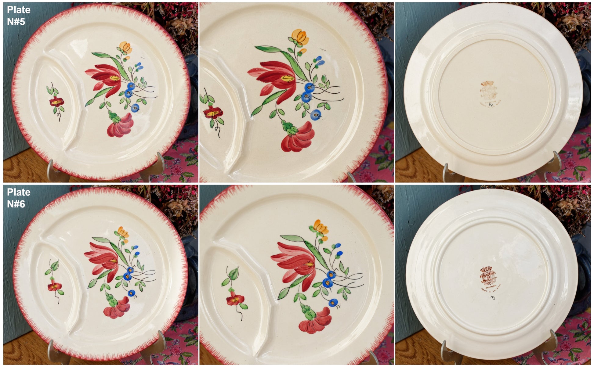 Trianon Faienceries de LONGCHAMP Tout a la Main French Antique Hand-Painted Ironstone Asparagus Plate Terre