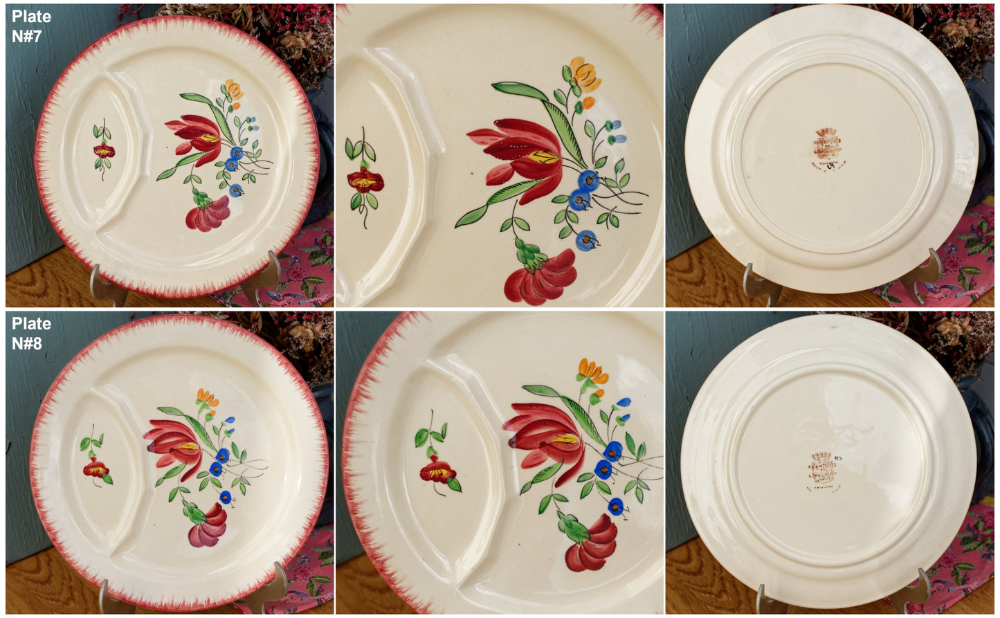 Trianon Faienceries de LONGCHAMP Tout a la Main French Antique Hand-Painted Ironstone Asparagus Plate Terre