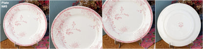 French Ironstone Red Transferware Plate Creil et Montereau Labrador Turenne Terre de Fer