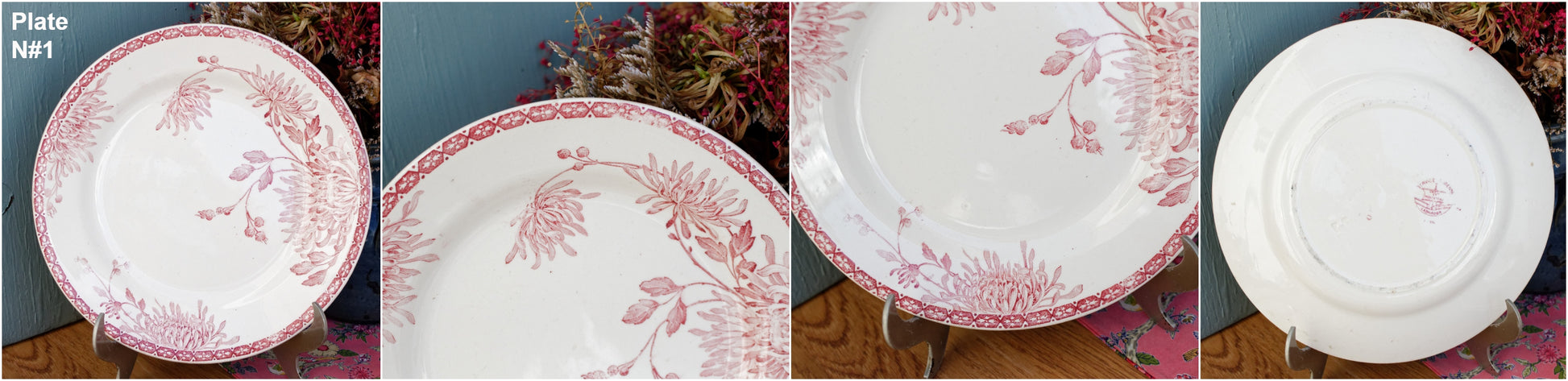 French Ironstone Red Transferware Plate Creil et Montereau Labrador Turenne Terre de Fer