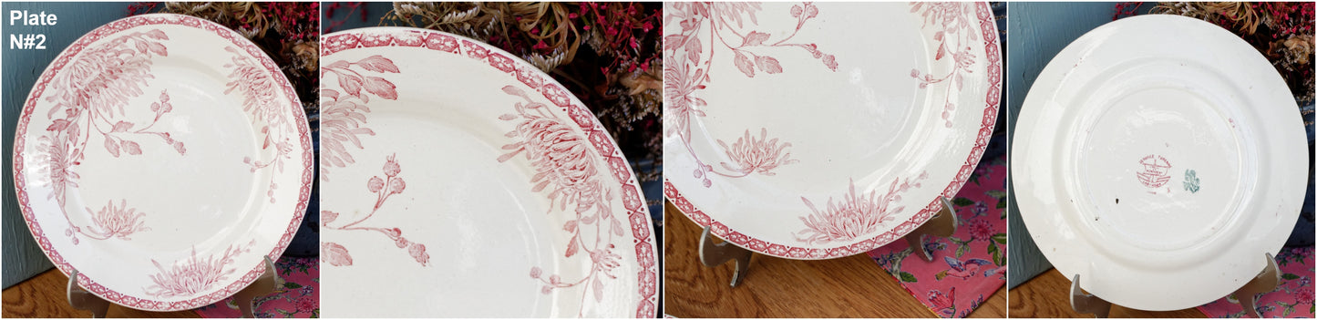 French Ironstone Red Transferware Plate Creil et Montereau Labrador Turenne Terre de Fer