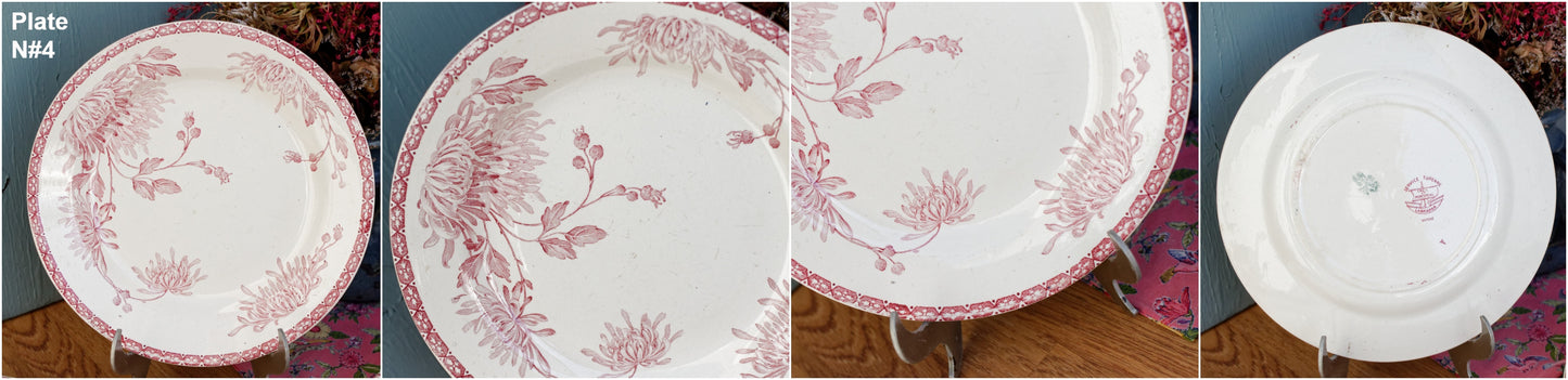 French Ironstone Red Transferware Plate Creil et Montereau Labrador Turenne Terre de Fer