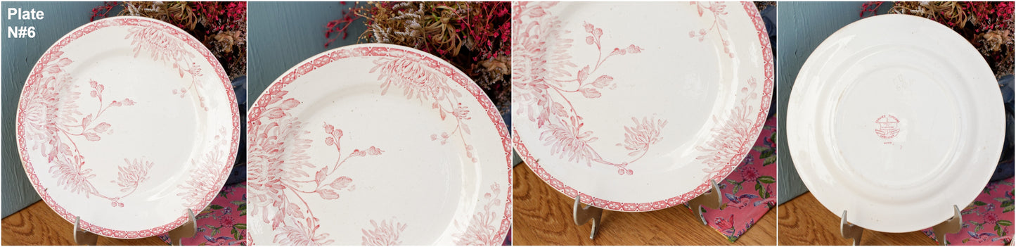 French Ironstone Red Transferware Plate Creil et Montereau Labrador Turenne Terre de Fer