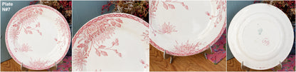 French Ironstone Red Transferware Plate Creil et Montereau Labrador Turenne Terre de Fer