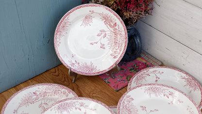 French Ironstone Red Transferware Plate Creil et Montereau Labrador Turenne Terre de Fer