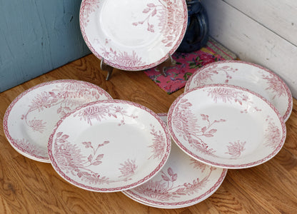 French Ironstone Red Transferware Plate Creil et Montereau Labrador Turenne Terre de Fer