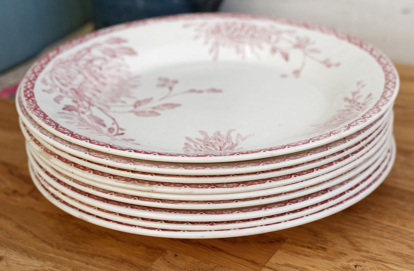 French Ironstone Red Transferware Plate Creil et Montereau Labrador Turenne Terre de Fer