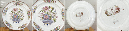 French Ironstone ECLATS Motif SARREGUEMINES France Floral Cake Service Terre de Fer Faience