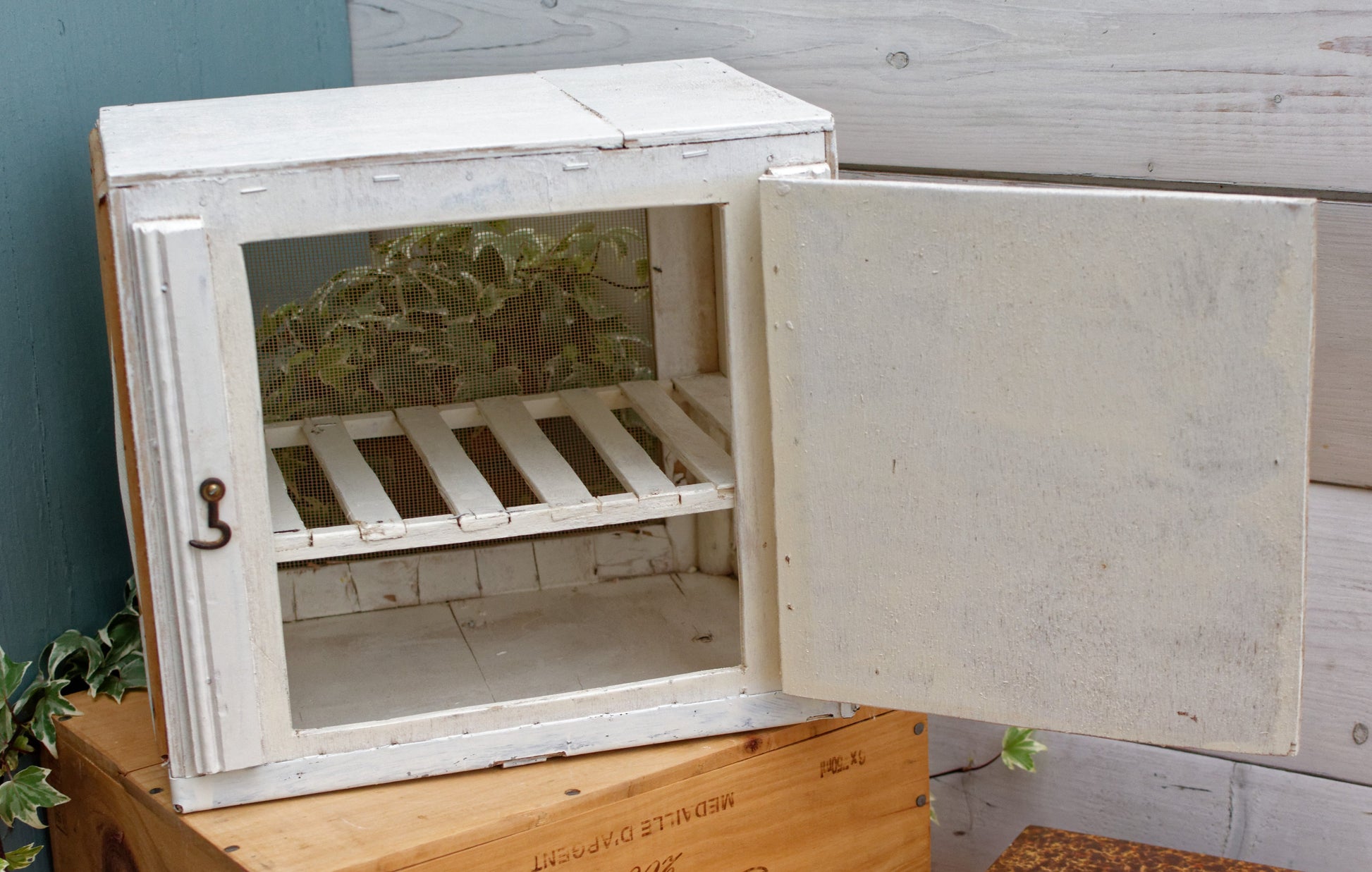 Garde Manger Fromagier French Antique Wooden Hanging Cheese Storage Box Rustic Farmhouse Cooling Mesh Closet