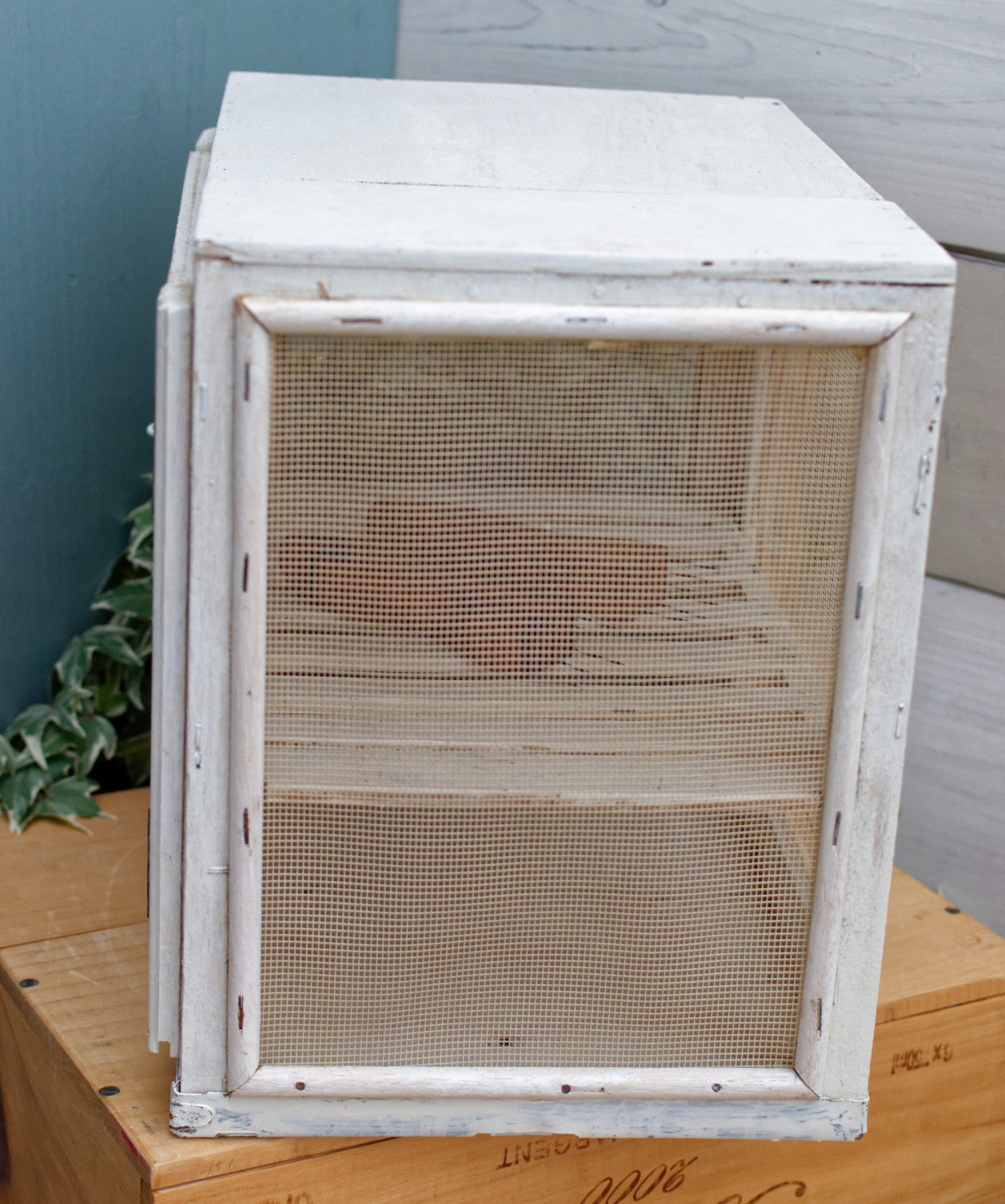 Garde Manger Fromagier French Antique Wooden Hanging Cheese Storage Box Rustic Farmhouse Cooling Mesh Closet