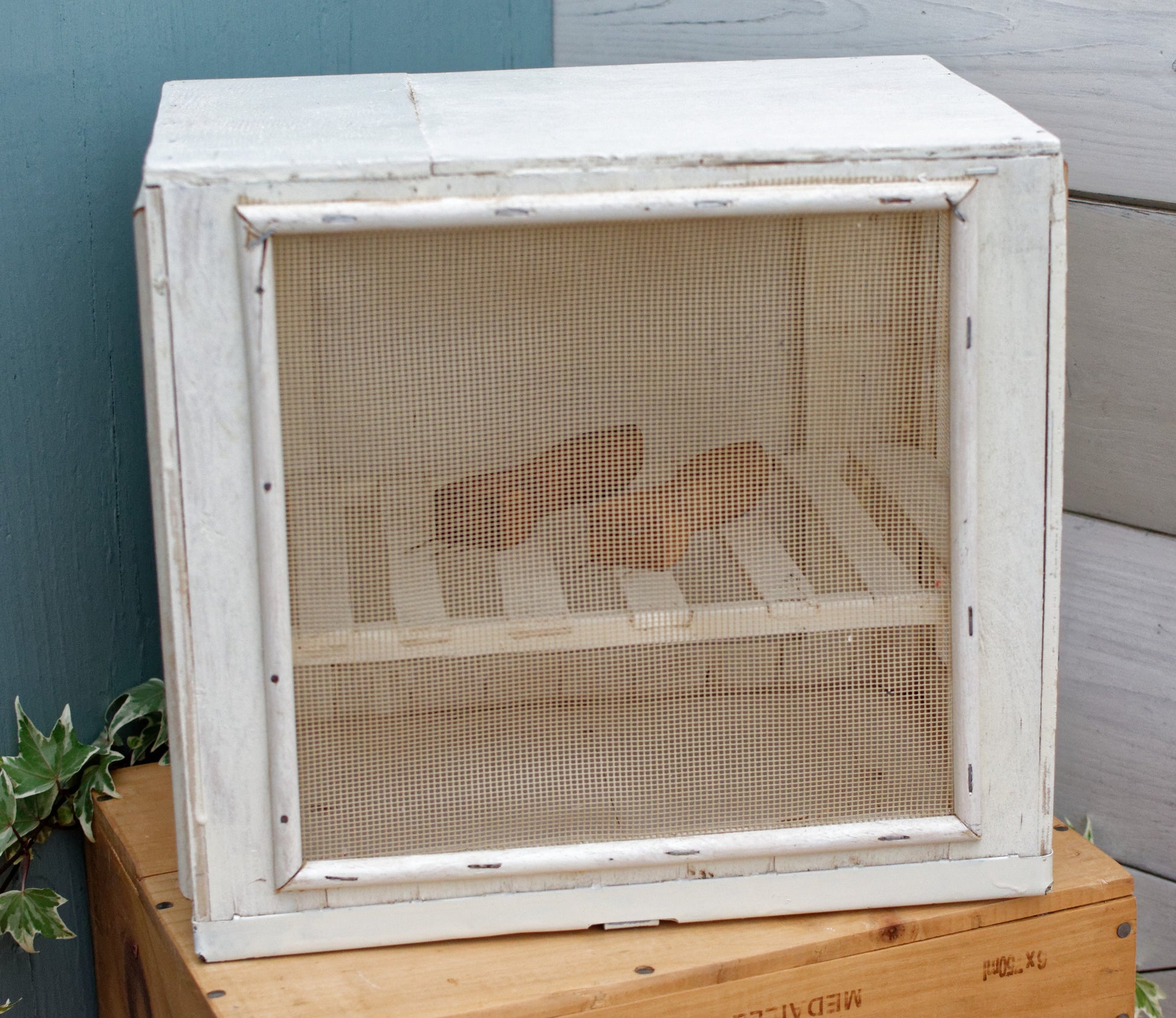 Garde Manger Fromagier French Antique Wooden Hanging Cheese Storage Box Rustic Farmhouse Cooling Mesh Closet