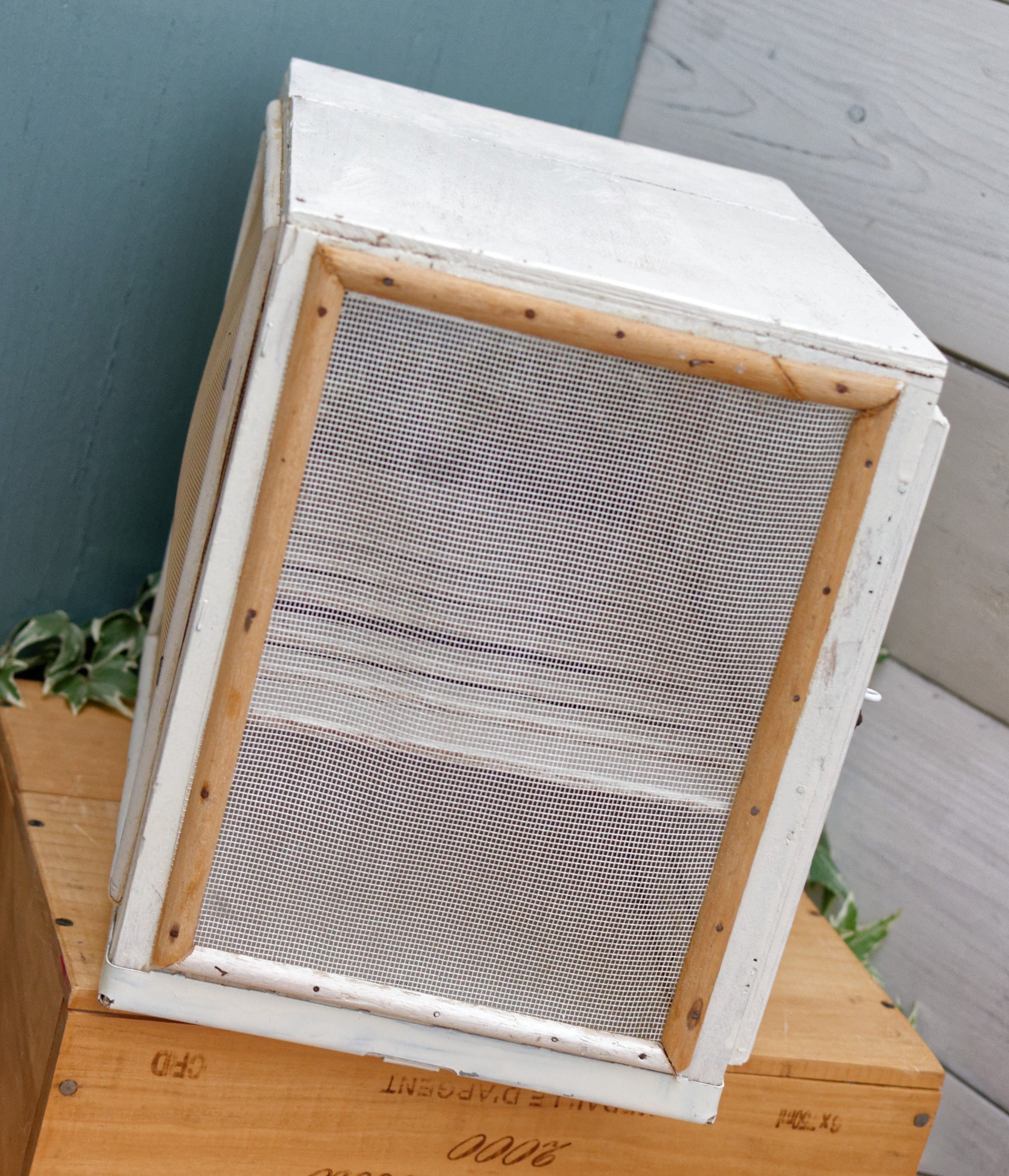 Garde Manger Fromagier French Antique Wooden Hanging Cheese Storage Box Rustic Farmhouse Cooling Mesh Closet