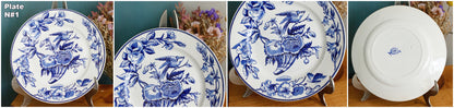 Sce ROUEN CHOISY LE ROI (HB & Cie) Terre de Fer French Antique Ironstone Blue Transferware Plate Birds & Butterflies Faïence