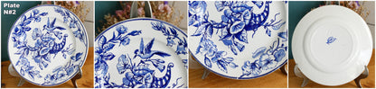 Sce ROUEN CHOISY LE ROI (HB & Cie) Terre de Fer French Antique Ironstone Blue Transferware Plate Birds & Butterflies Faïence