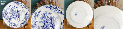 Sce ROUEN CHOISY LE ROI (HB & Cie) Terre de Fer French Antique Ironstone Blue Transferware Plate Birds & Butterflies Faïence