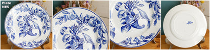 Sce ROUEN CHOISY LE ROI (HB & Cie) Terre de Fer French Antique Ironstone Blue Transferware Plate Birds & Butterflies Faïence