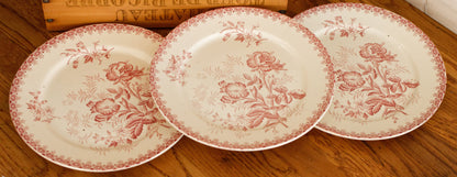 GIROFLEE Boch Freres (BF) Belgian Antique Ironstone Red Transferware Dinner Plate Terre de Fer en Faience