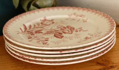 GIROFLEE Boch Freres (BF) Belgian Antique Ironstone Red Transferware Dinner Plate Terre de Fer en Faience